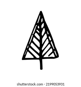 Coniferous tree with crown, conifer, pine, fir, juniper, spruce, nature, graphic, vector, illustration in black and white color, isolated on white background
