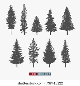 Coniferous tree isolated silhouettes set. Pine tree and fir tree flat icons. Elements for your design works. Vector illustration.