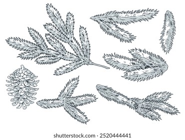 Conjunto de emblemas de árbol de coníferas monocromo con ramas de árbol de Navidad y cono de pino para folletos de diseño para la Ilustración vectorial de año nuevo