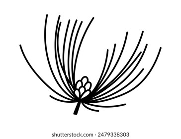 Coniferous tree top, vector icon. Branch of pine, fir, spruce, cedar. An evergreen forest plant with small cones, seeds, needles. Hand drawn sketch, botanical doodle. Black and white Christmas decor
