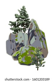 Coniferous trees among the rocks, covered with the green moss. Vector natural illustration isolated on white background