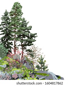 Coniferous trees among the rocks, covered with the green moss. Vector corner illustration isolated on white background