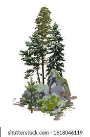 Coniferous trees among the rocks, covered with the green moss. Vector natural illustration isolated on white background