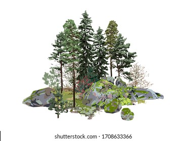 Coniferous trees among the rocks, covered with the green moss. Vector natural illustration isolated on white background