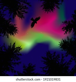 Coniferous trees.  Eagle in the sky.  Pink and green northern lights.   View from below. 