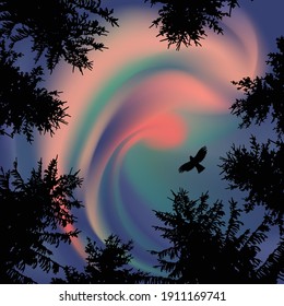 Coniferous trees on the background of colorful sky. Aurora.   Flying eagle. 