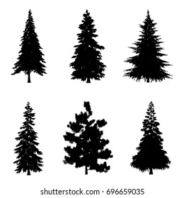 Coniferous trees silhouettes for architectural compositions with backgrounds. Vector illustration