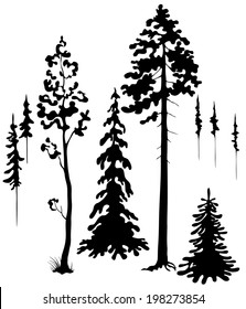 Coniferous trees silhouettes set.