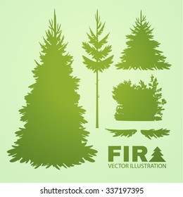 Coniferous Trees Silhouettes Set. Branches & Bush. Vector illustration