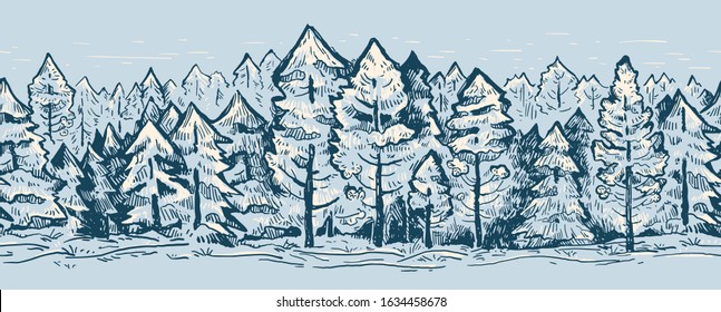 Coniferous vector sketch border pattern. Fir trees in gray color. Wrapping paper, print, page fill, web design. Vector illustration