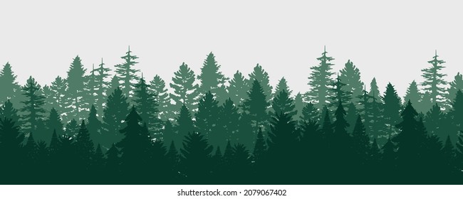 Coniferous winter forest background. Nature, landscape. Pine, spruce, Christmas tree. Fog evergreen coniferous trees. Silhouette vector illustration.