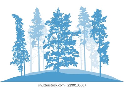 Coniferous winter trees, pines. Silhouette of beautiful nature, landscape. Vector illustration