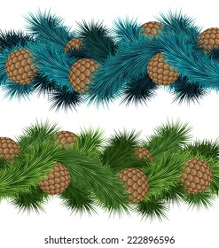 Conifers cones in pine branches isolated on white background