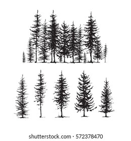  Conifers Sketch Set, Hand Drawing Graphic Forest, Isolated Vector Illustration, Silhouette Elements Black And White