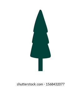 coniferus pine tree forest icon