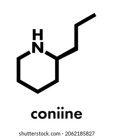 Coniine herbal toxin molecule. Present in poison hemlock (Conium maculatum). Skeletal formula.