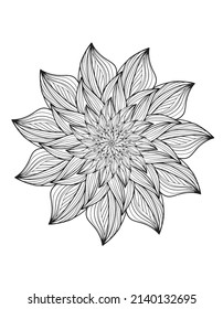 Conio flower on a white background