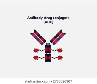 Antikörper-Wirkstoff-Konjugat (ADC)-Vektor, der eine fortgeschrittene Anwendung der Protein-Antikörper-Technik für die gezielte Krebstherapie veranschaulicht, wobei die Spezifität monoklonaler Antikörper mit der Potenz zytotoxischer Nutzlasten kombiniert wird, um eine selektive Tumorzellabtötung zu ermöglichen