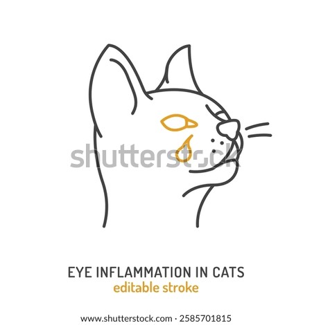 Conjunctivitis in cats. Linear icon, pictogram, symbol. Common disease mostly affects middle-aged and older animals. Veterinarian concept. Vector illustration in outline style on a white background