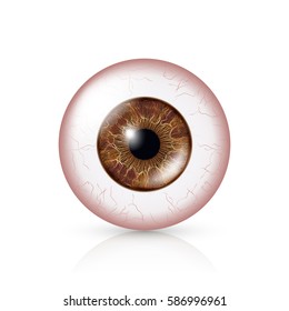 Conjuntivitis. Ojo Rojo. Ébola Humana Con Conjuntivitis. Ilustración vectorial