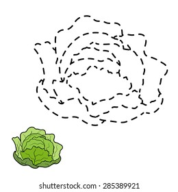 Connect the dots (cabbage)