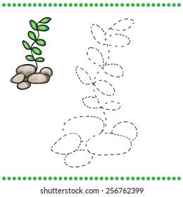 Connect the dots and coloring page - grass