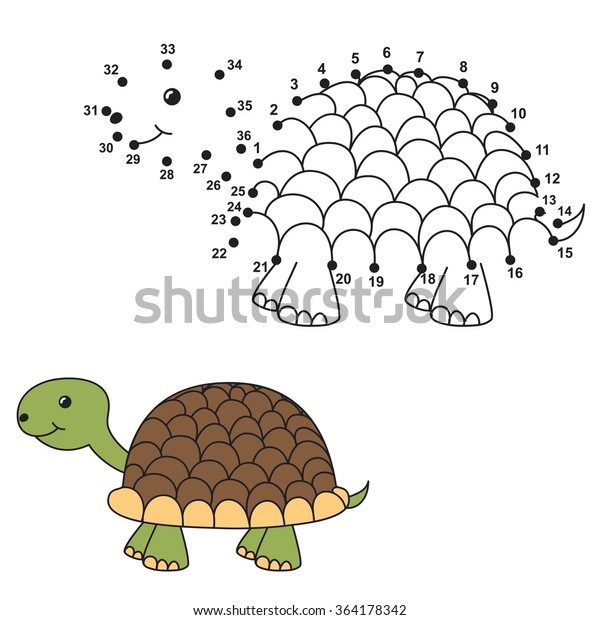 how to draw a cute turtle