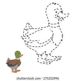 Connect the dots (duck)