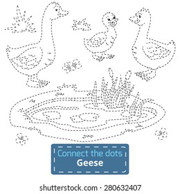 Connect the dots (farm animals set, goose family)