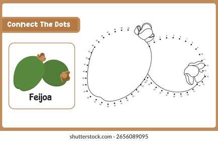 Conecta Los Puntos De La Comida Feijoa. Dot To Dot Juego Educativo. Ilustración vectorial