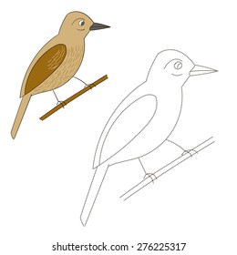 Connect the dots game xenops bird vector illustration
