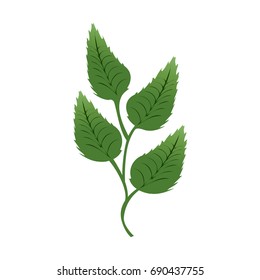 connected green leaves in one branch, illustration design, isolated on white background. 