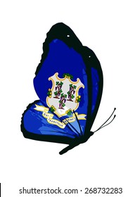 Connecticut flag butterfly - vector
