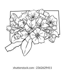 Connecticut State Flower, Line Art Vektorgrafik von Moutain Lorrel Flower, passend Connecticut State Map Rahmen, cool für Aufkleber, Farbbücher, T-Shirts, etc.