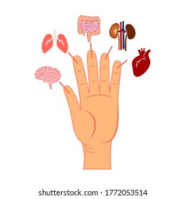 Connection between fingers and internal organs. Japanese treatment method. Flat simple vector illustration isolated on the white background.