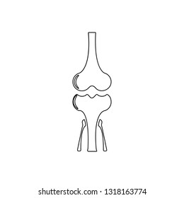 connection of bones icon. Element of Human parts for mobile concept and web apps icon. Outline, thin line icon for website design and development, app development