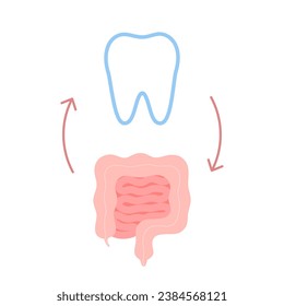 Connection of healthy teeth and intestine. Relation health of human gut and tooth. Digestion and chewing unity. Vector illustration