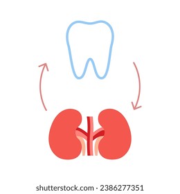 Connection of healthy teeth and kidneys. Relation health of human kidneys and tooth. Renal and chewing unity. Vector illustration svg