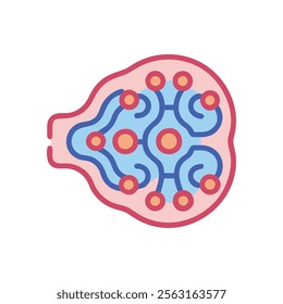 Connective Tissue Anatomy Illustrated for Study