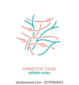 Connective tissue line icon. Collagen skincare pictogram. Elastin sign. Editable stroke. Medical symbol in outline style. Wellness and beauty concept. Vector isolated illustration