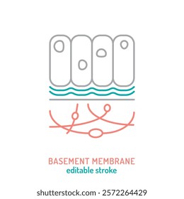 Connective tissue line icon. Collagen skincare pictogram. Basement membrane sign. Editable stroke. Medical symbol in outline style. Wellness and beauty concept. Vector isolated illustration