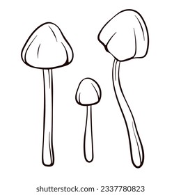 Conocybe Filaris inedible mushroom in line art style. Poisonous food sketch. Vector illustration isolated on a white background. Deadly fungus Pholiotina rugosa.