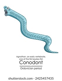 Conodont an Ordovician period jawless vertebrate. Colorful illustration on a white background