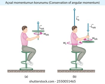 conservação do momento angular, físico, momento