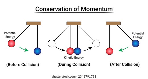 Conservation of Momentum. Newton's Cradle