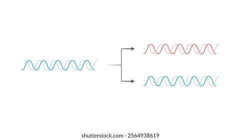 Conservative Method of DNA Replication Science Design. Vector Illustration.