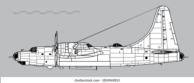 Consolidated B-32 Dominator. Vector drawing of WW2 heavy bomber. Side view. Image for illustration and infographics.
