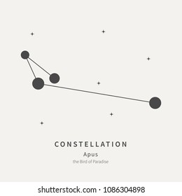 The Constellation Of Apus. The Bird of Paradise - linear icon. Vector illustration of the concept of astronomy