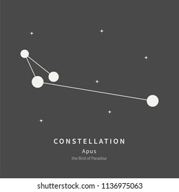 The Constellation Of Apus. The Bird of Paradise - linear icon. Vector illustration of the concept of astronomy