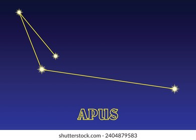 Constellation Apus. Constellation Bird of Paradise. the near-polar constellation of the southern hemisphere of the sky. Area - 206 square degrees; con